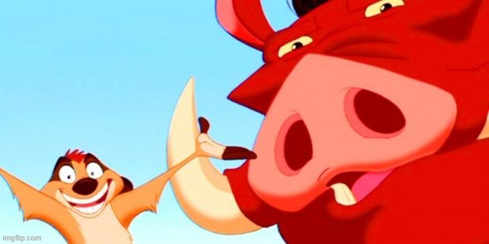 Timon and Pumbaa | image tagged in timon and pumbaa | made w/ Imgflip meme maker