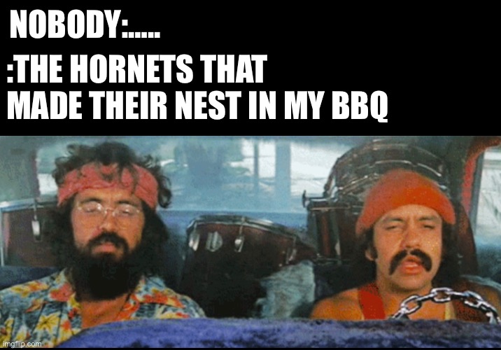 Do you smell hot dogs man? |  NOBODY:….. :THE HORNETS THAT MADE THEIR NEST IN MY BBQ | image tagged in cheech and chong,bbq | made w/ Imgflip meme maker