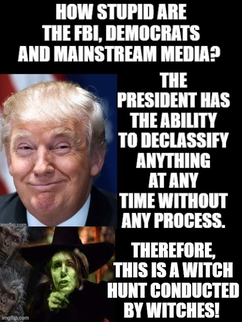 Any sane person knows this is a witch hunt conducted by witches!! | THEREFORE, THIS IS A WITCH HUNT CONDUCTED BY WITCHES! | image tagged in fbi,morons,witch hunt | made w/ Imgflip meme maker