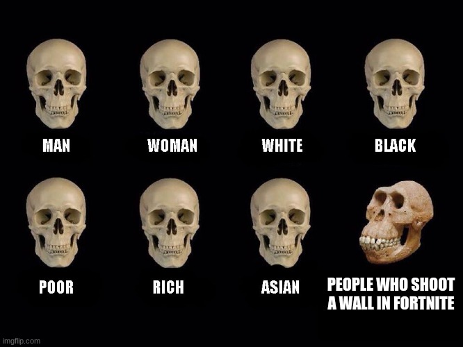 empty skulls of truth | PEOPLE WHO SHOOT A WALL IN FORTNITE | image tagged in empty skulls of truth | made w/ Imgflip meme maker
