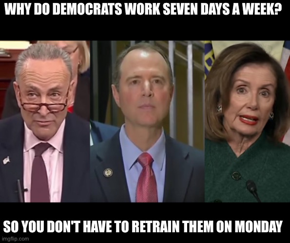 Democrats | WHY DO DEMOCRATS WORK SEVEN DAYS A WEEK? SO YOU DON'T HAVE TO RETRAIN THEM ON MONDAY | image tagged in democratic leadership,democrats,work seven days,no retraining,on monday | made w/ Imgflip meme maker