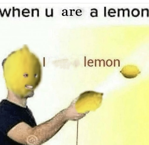 High Quality when you are a lemon Blank Meme Template