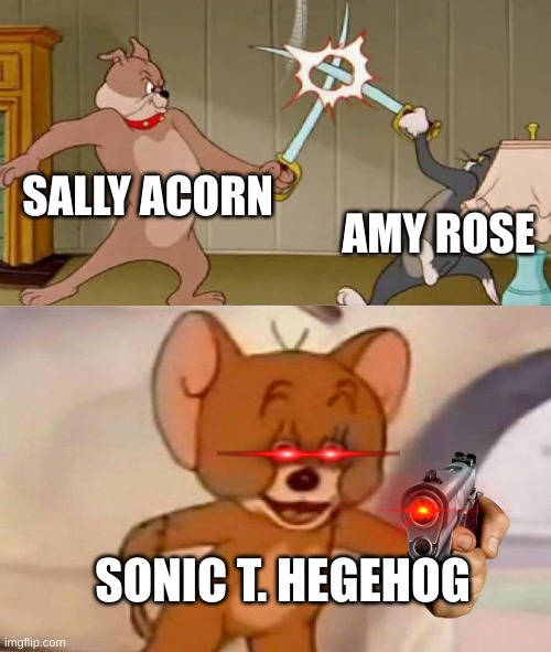 Tom and Jerry swordfight | SALLY ACORN; AMY ROSE; SONIC T. HEGEHOG | image tagged in tom and jerry swordfight | made w/ Imgflip meme maker