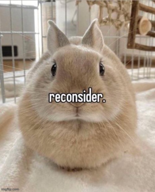reconsider | image tagged in reconsider | made w/ Imgflip meme maker