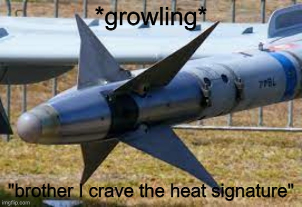 AIM-9 Sidewinders like | *growling*; "brother I crave the heat signature" | made w/ Imgflip meme maker