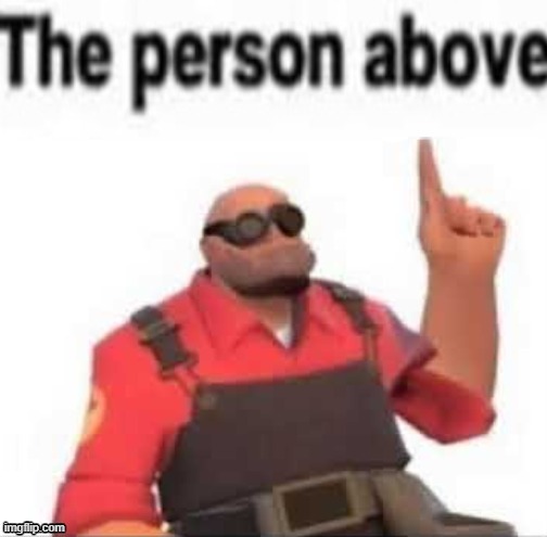 The person above | image tagged in the person above | made w/ Imgflip meme maker