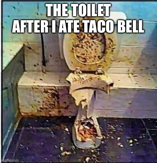 Me after i eat taco bell | THE TOILET AFTER I ATE TACO BELL | image tagged in taco bell | made w/ Imgflip meme maker