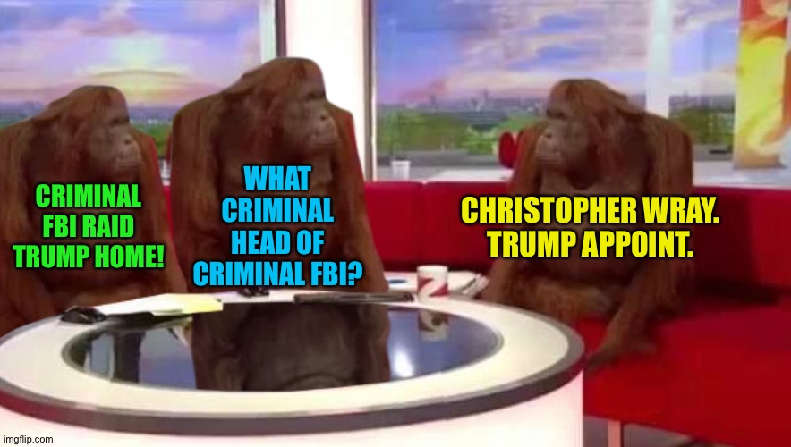 Where banana? | WHAT CRIMINAL HEAD OF CRIMINAL FBI? CRIMINAL FBI RAID TRUMP HOME! CHRISTOPHER WRAY.
TRUMP APPOINT. | image tagged in where gorilla | made w/ Imgflip meme maker