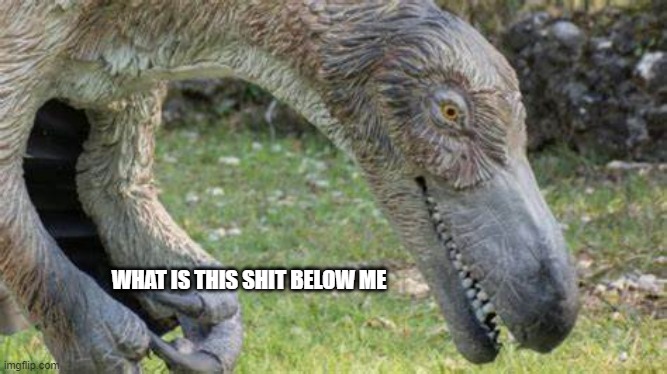  WHAT IS THIS SHIT BELOW ME | image tagged in dinosaurs | made w/ Imgflip meme maker