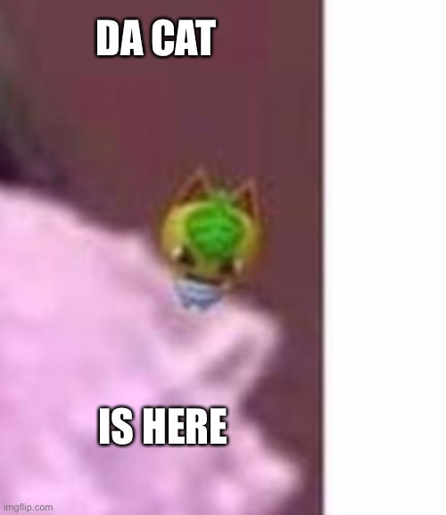 DA CAT IS HERE | made w/ Imgflip meme maker