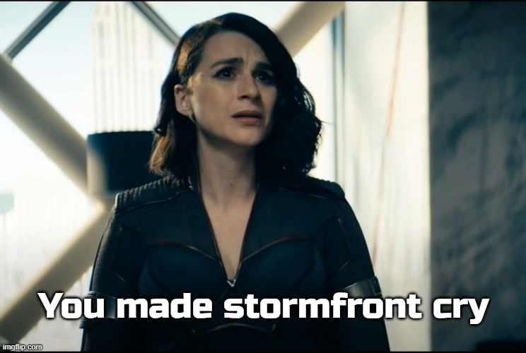 Why? | You made stormfront cry | image tagged in memes | made w/ Imgflip meme maker