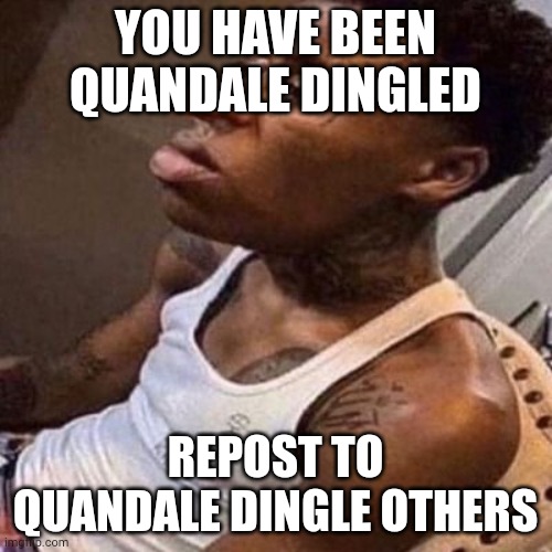 quandale dingle | YOU HAVE BEEN QUANDALE DINGLED; REPOST TO QUANDALE DINGLE OTHERS | image tagged in quandale dingle | made w/ Imgflip meme maker