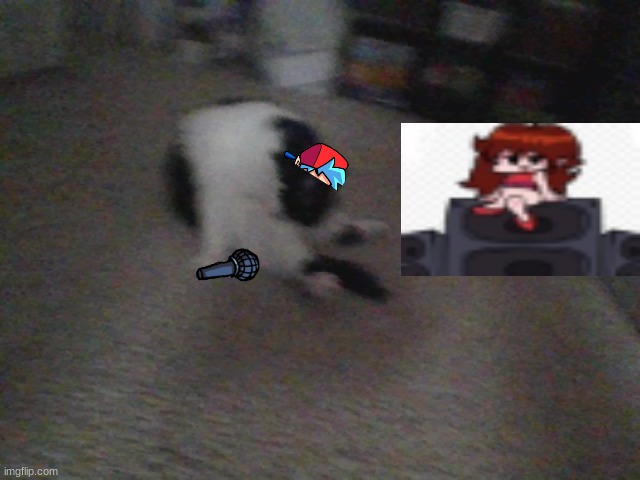 NO WAY MY CAT FUNKIN AT 3AM NO CLICKBAIT | made w/ Imgflip meme maker