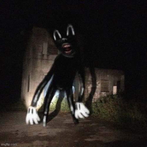 Wavy Cartoon Cat | image tagged in wavy cartoon cat | made w/ Imgflip meme maker