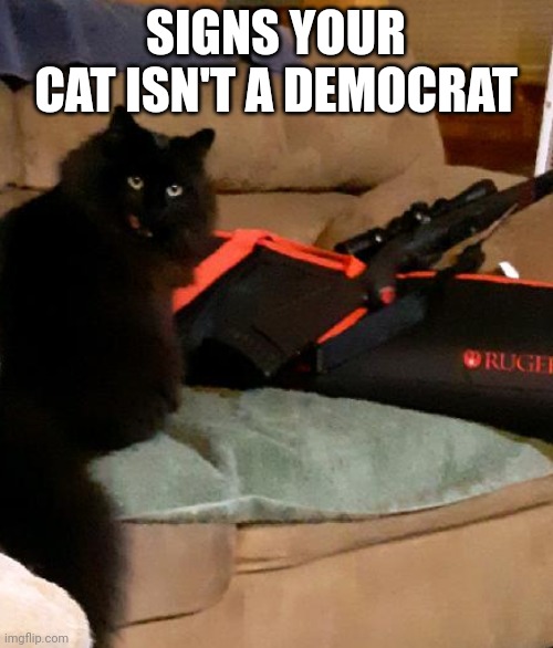 My sister wants a meme with her cat's picture. Any good ideas? |  SIGNS YOUR CAT ISN'T A DEMOCRAT | image tagged in scruffy | made w/ Imgflip meme maker