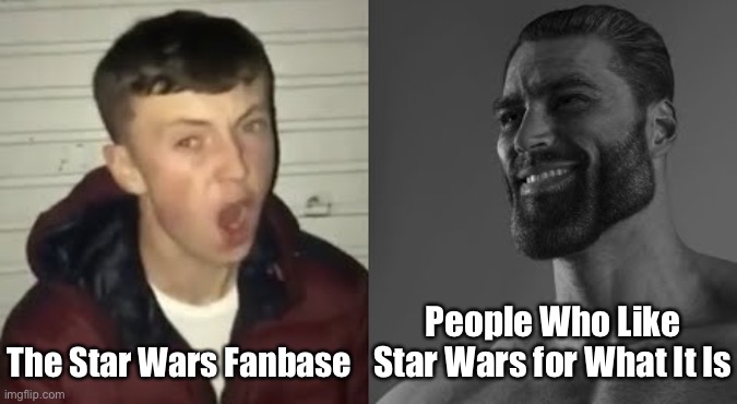 Not My Best, Just Want To Get It Out There | The Star Wars Fanbase; People Who Like Star Wars for What It Is | image tagged in average enjoyer meme | made w/ Imgflip meme maker