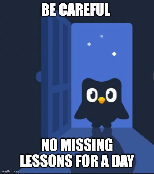 Duolingo bird | BE CAREFUL; NO MISSING LESSONS FOR A DAY | image tagged in duolingo bird | made w/ Imgflip meme maker