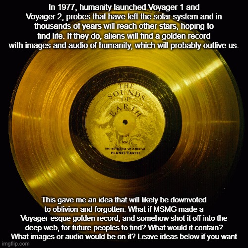 In 1977, humanity launched Voyager 1 and Voyager 2, probes that have left the solar system and in thousands of years will reach other stars, hoping to find life. If they do, aliens will find a golden record with images and audio of humanity, which will probably outlive us. This gave me an idea that will likely be downvoted to oblivion and forgotten: What if MSMG made a Voyager-esque golden record, and somehow shot it off into the deep web, for future peoples to find? What would it contain? What images or audio would be on it? Leave ideas below if you want | made w/ Imgflip meme maker