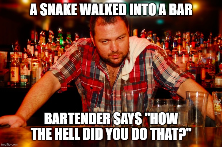 Slither? | A SNAKE WALKED INTO A BAR; BARTENDER SAYS "HOW THE HELL DID YOU DO THAT?" | image tagged in annoyed bartender | made w/ Imgflip meme maker