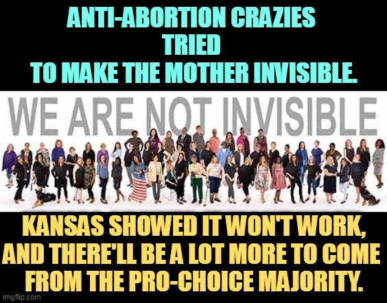 The consent of the governed. | ANTI-ABORTION CRAZIES 
TRIED 
TO MAKE THE MOTHER INVISIBLE. KANSAS SHOWED IT WON'T WORK, AND THERE'LL BE A LOT MORE TO COME 
FROM THE PRO-CHOICE MAJORITY. | image tagged in anti choice,crazy,pro choice,majority | made w/ Imgflip meme maker