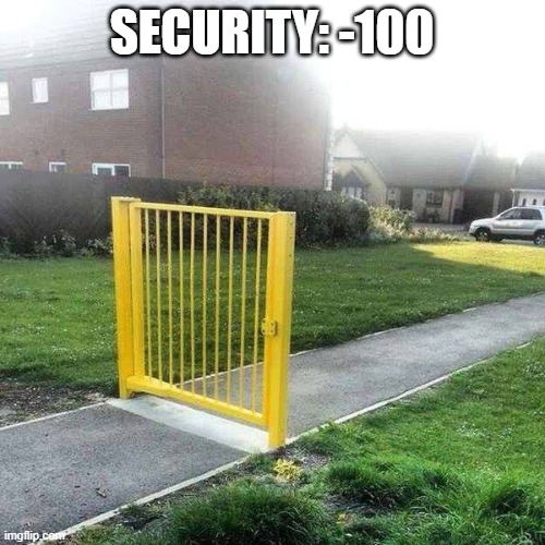 Liberal Security | SECURITY: -100 | image tagged in liberal security | made w/ Imgflip meme maker