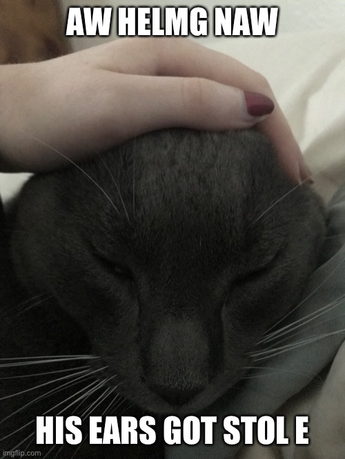 AW HELMG NAW; HIS EARS GOT STOL E | made w/ Imgflip meme maker