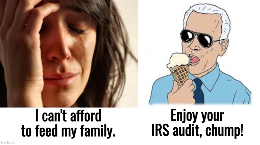 Democrat politicians do not care who they hurt, so long as they get more power. | Enjoy your IRS audit, chump! I can't afford to feed my family. | image tagged in political,harassment,police state,socialism,communism | made w/ Imgflip meme maker