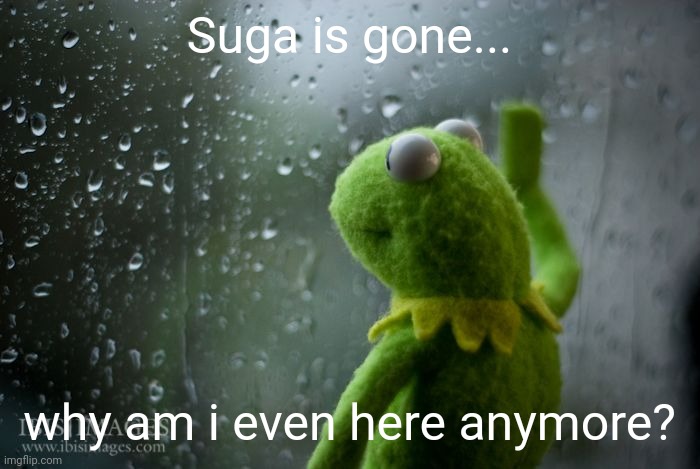 kermit window | Suga is gone... why am i even here anymore? | image tagged in kermit window | made w/ Imgflip meme maker