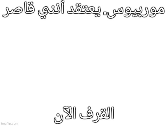 أوقفه الآن! | موربيوس. يعتقد أنني قاصر; القرف الآن | image tagged in blank white template | made w/ Imgflip meme maker