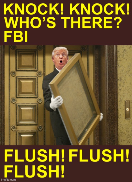 KNOCK KNOCK WHO'S THERE FBI FLUSH FLUSH FLUSH MEME | image tagged in knock knock who's there fbi flush flush flush meme | made w/ Imgflip meme maker