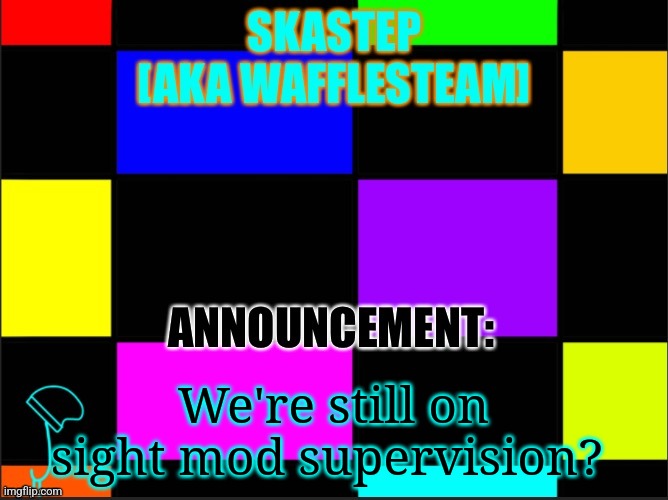 Not to mention  THOSE TWO have mod powers | We're still on sight mod supervision? | image tagged in skastep temp | made w/ Imgflip meme maker