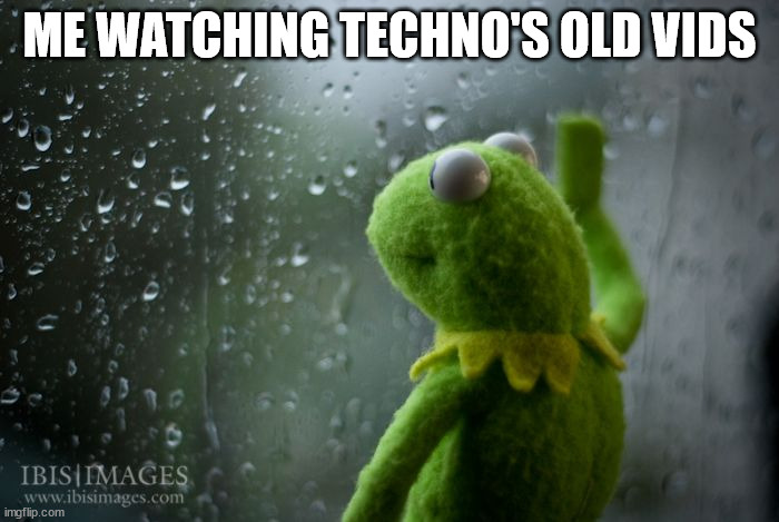 kermit window | ME WATCHING TECHNO'S OLD VIDS | image tagged in kermit window | made w/ Imgflip meme maker