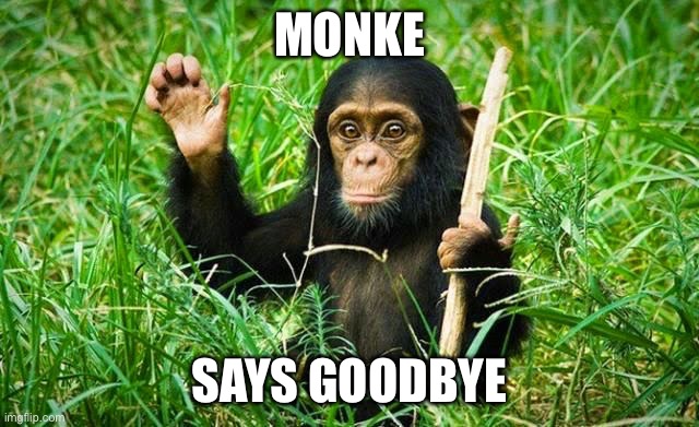 goodbye | MONKE SAYS GOODBYE | image tagged in goodbye | made w/ Imgflip meme maker