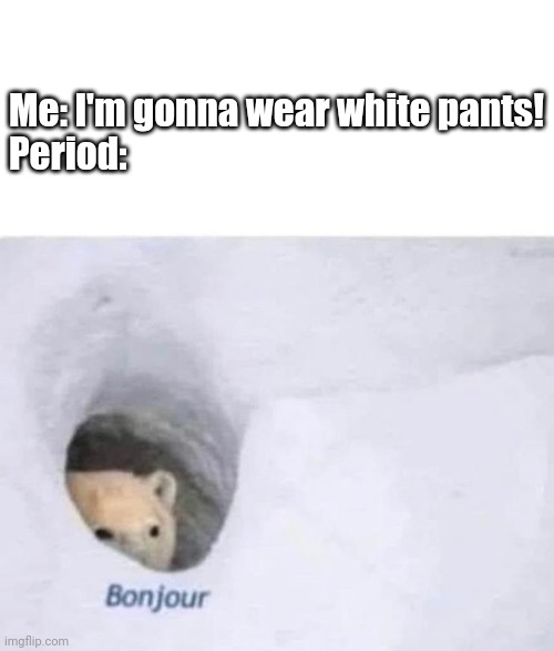 Girls, you can understand... | Me: I'm gonna wear white pants!
Period: | image tagged in bonjour,period,memes | made w/ Imgflip meme maker