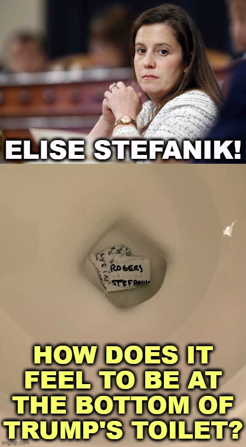 It's a start. | ELISE STEFANIK! HOW DOES IT FEEL TO BE AT THE BOTTOM OF TRUMP'S TOILET? | image tagged in elise stefanik,trump,toilet,papers | made w/ Imgflip meme maker