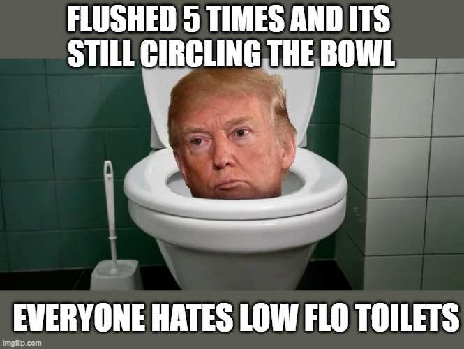 The one that clogged our pipes | FLUSHED 5 TIMES AND ITS 
STILL CIRCLING THE BOWL; EVERYONE HATES LOW FLO TOILETS | image tagged in trump,flushed,turd,low-flo,toilet,donald | made w/ Imgflip meme maker