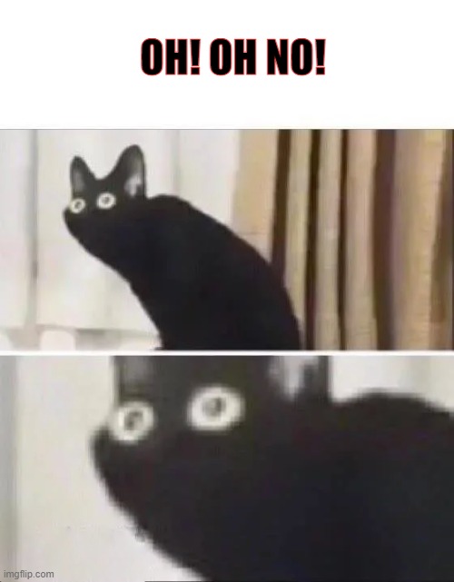 OH! OH NO! | image tagged in oh no black cat | made w/ Imgflip meme maker