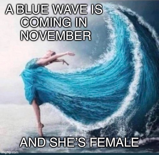 Blue Wave | A BLUE WAVE IS 
COMING IN 
NOVEMBER; AND SHE’S FEMALE | image tagged in vote blue,blue wave,trump raid,trump for prison 2024,lock him up,womens rights | made w/ Imgflip meme maker