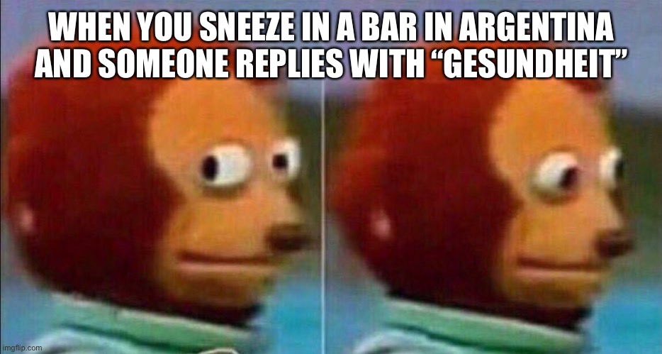 Monkey looking away | WHEN YOU SNEEZE IN A BAR IN ARGENTINA AND SOMEONE REPLIES WITH “GESUNDHEIT” | image tagged in monkey looking away | made w/ Imgflip meme maker