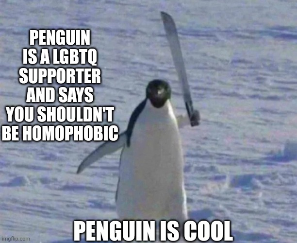 Penguin is cool | PENGUIN IS A LGBTQ SUPPORTER AND SAYS YOU SHOULDN'T BE HOMOPHOBIC; PENGUIN IS COOL | made w/ Imgflip meme maker