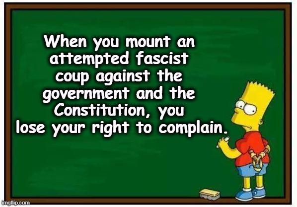 Bart blackboard | When you mount an 
attempted fascist 
coup against the 
government and the 
Constitution, you 
lose your right to complain. | image tagged in bart blackboard,fascist,coup,government,constitution | made w/ Imgflip meme maker