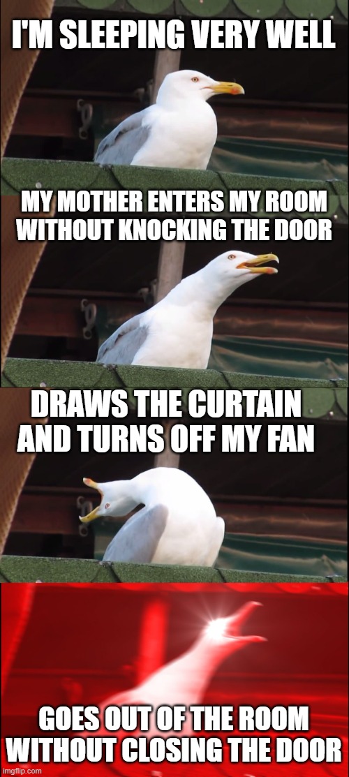 arghh | I'M SLEEPING VERY WELL; MY MOTHER ENTERS MY ROOM WITHOUT KNOCKING THE DOOR; DRAWS THE CURTAIN AND TURNS OFF MY FAN; GOES OUT OF THE ROOM WITHOUT CLOSING THE DOOR | image tagged in memes,inhaling seagull | made w/ Imgflip meme maker