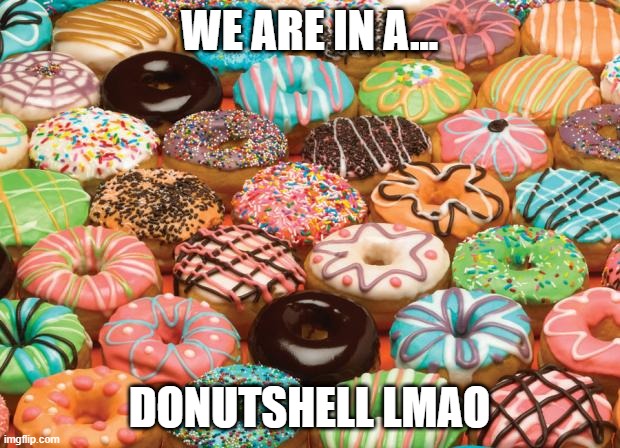 donuts | WE ARE IN A... DONUTSHELL LMAO | image tagged in donuts | made w/ Imgflip meme maker