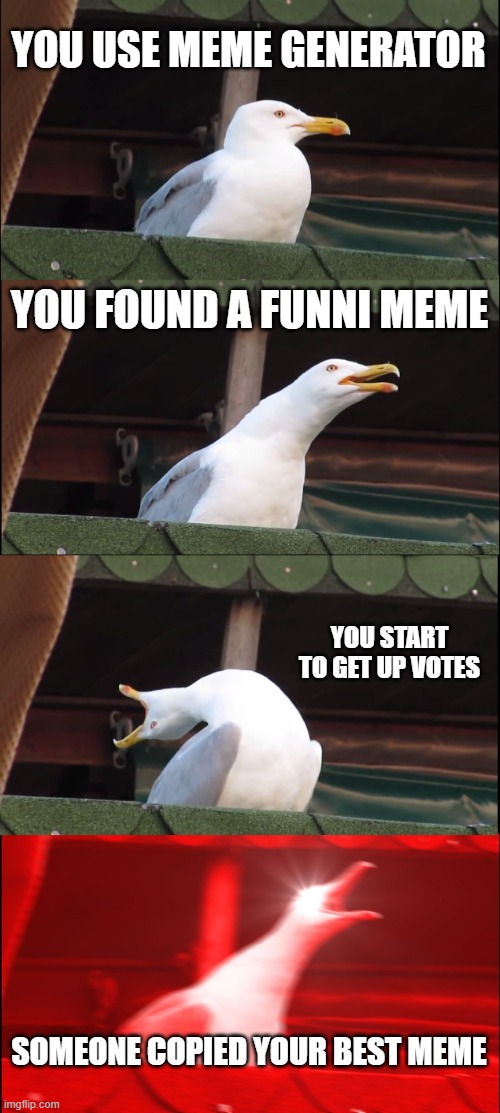 meme generator | YOU USE MEME GENERATOR; YOU FOUND A FUNNI MEME; YOU START TO GET UP VOTES; SOMEONE COPIED YOUR BEST MEME | image tagged in memes,inhaling seagull | made w/ Imgflip meme maker