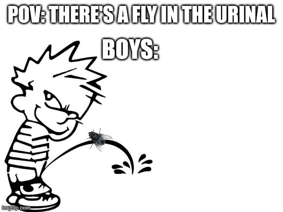 Lol | POV: THERE'S A FLY IN THE URINAL; BOYS: | image tagged in idk,fly,pee | made w/ Imgflip meme maker