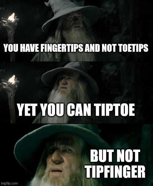 Critical thinking there, Gandalf |  YOU HAVE FINGERTIPS AND NOT TOETIPS; YET YOU CAN TIPTOE; BUT NOT TIPFINGER | image tagged in memes,confused gandalf | made w/ Imgflip meme maker