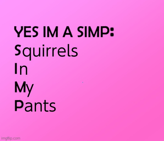 im a simp | quirrels n y ants : | image tagged in im a simp | made w/ Imgflip meme maker