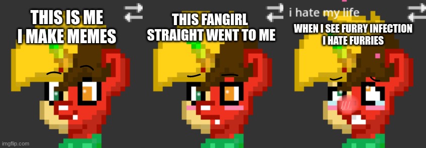 This is me | THIS IS ME
I MAKE MEMES; THIS FANGIRL
 STRAIGHT WENT TO ME; WHEN I SEE FURRY INFECTION
I HATE FURRIES | image tagged in my little pony meme week | made w/ Imgflip meme maker