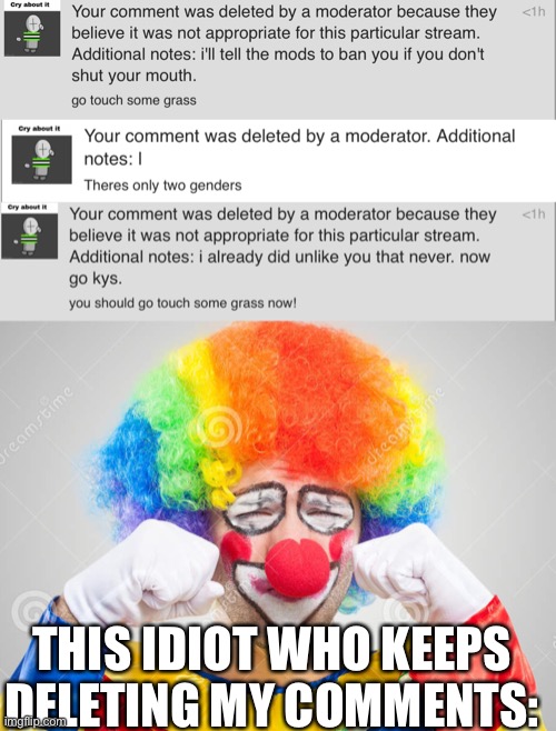 THIS IDIOT WHO KEEPS DELETING MY COMMENTS: | image tagged in clown crying | made w/ Imgflip meme maker