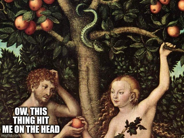 adam and eve | OW, THIS THING HIT ME ON THE HEAD | image tagged in adam and eve | made w/ Imgflip meme maker